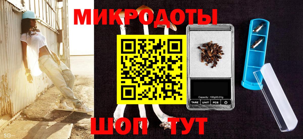 Псилоцибиновые грибы Cubensis Ростов Великий
